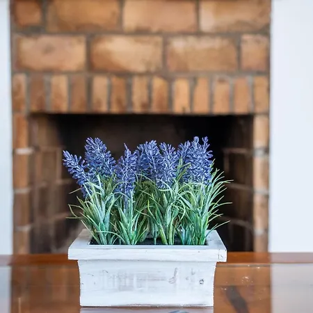 Solivent אס מרקדל