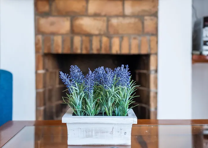 Solivent * אס מרקדל