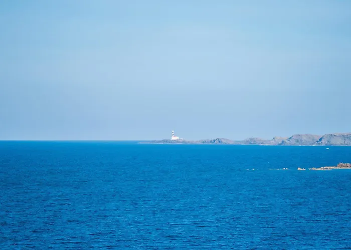 Solivent * אס מרקדל