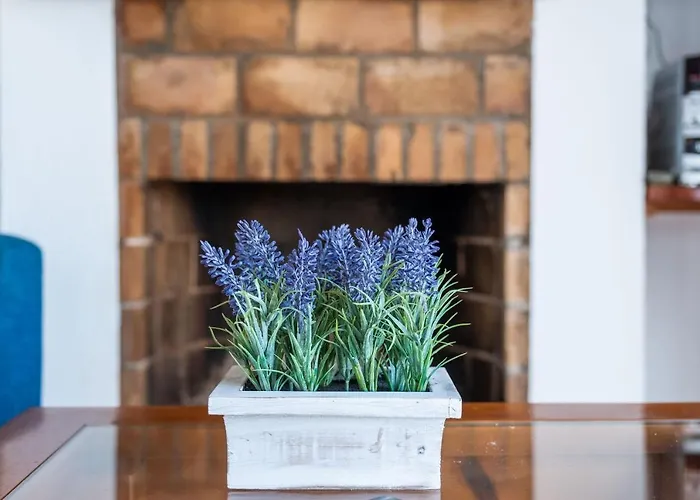 Solivent Es Mercadal